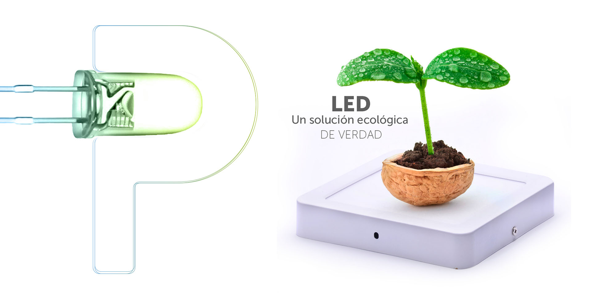 Proyectarled una solución ecológica